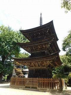 DSCN6743.jpg